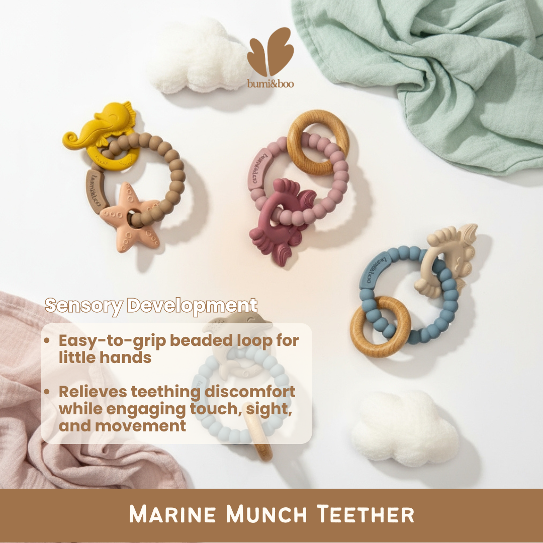 Premium Silicone Teether Ring Toy - Marine Munch Teether